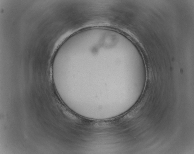 X0000078271366200612011709