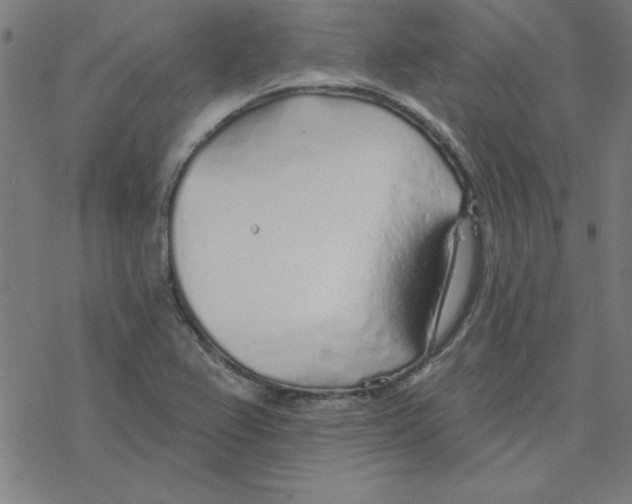 X0000078271367200612011709