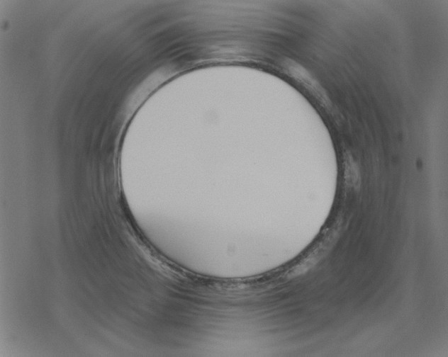 X0000078271370200612011709