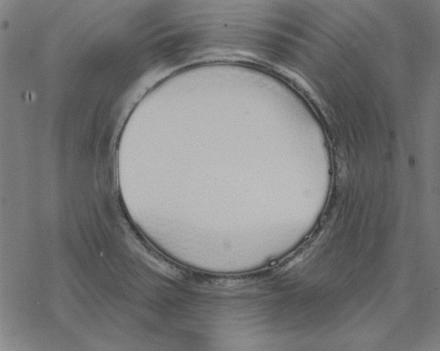 X0000078271371200612011709