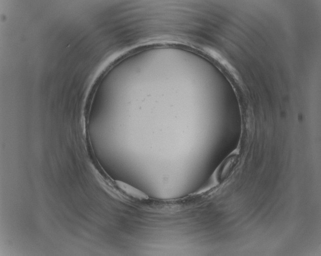 X0000078271372200612011709