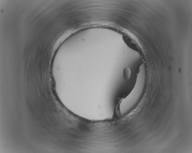 X0000078271373200612011709