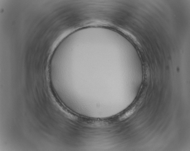 X0000078271375200612011708