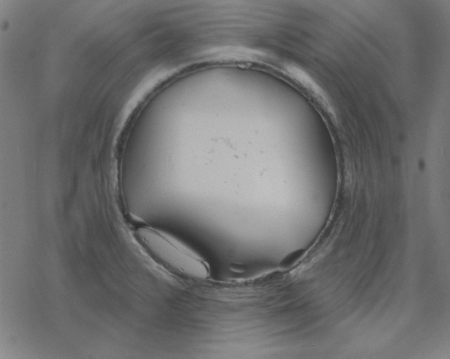 X0000078271376200612011708