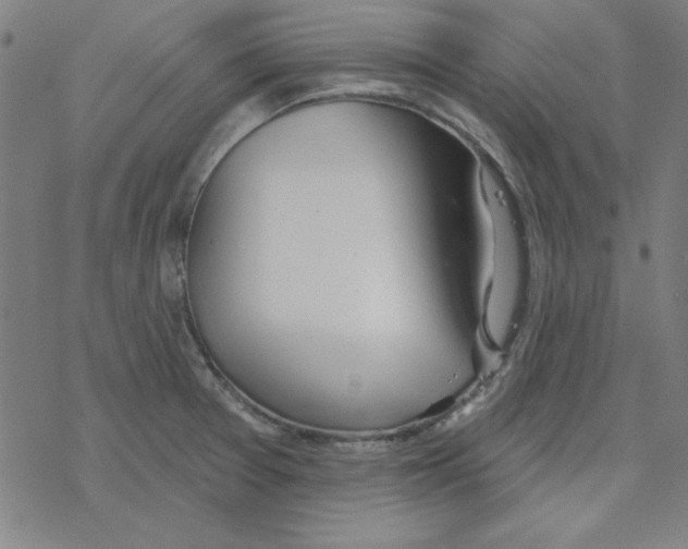 X0000078271377200612011708