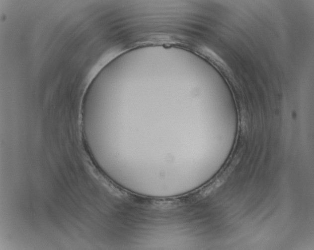 X0000078271378200612011708