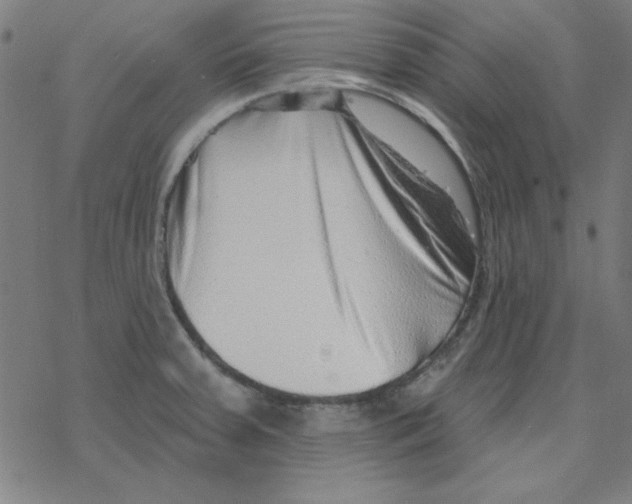 X0000078271379200612011708