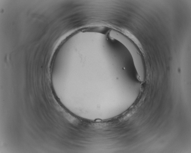 X0000078271380200612011708