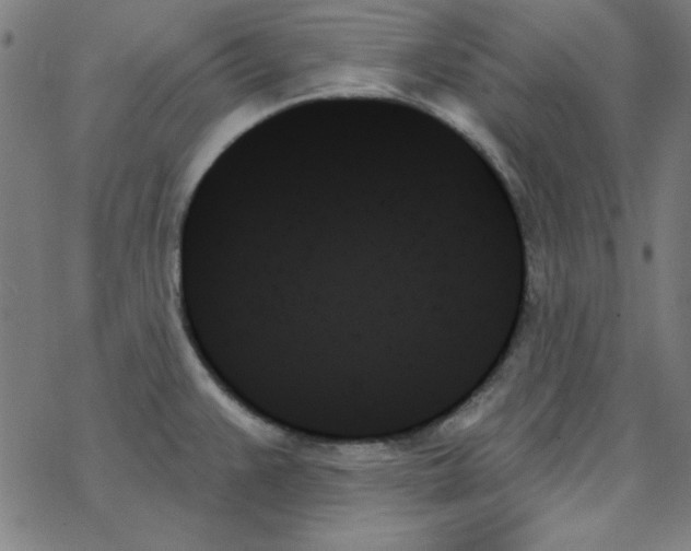 X0000078271383200612011708