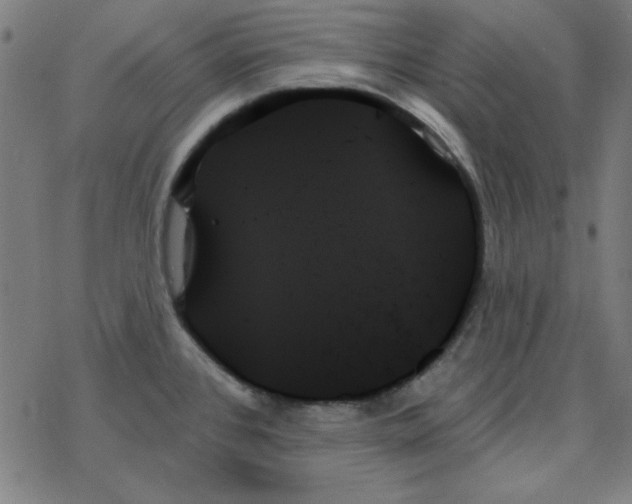 X0000078271384200612011708