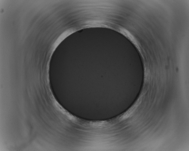 X0000078271386200612011708