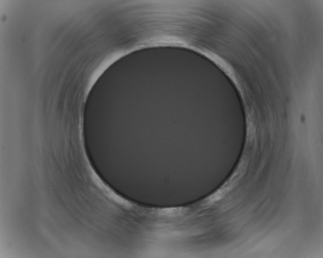 X0000078271390200612011708