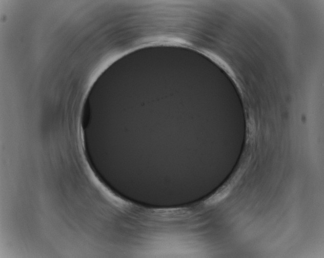 X0000078271391200612011708