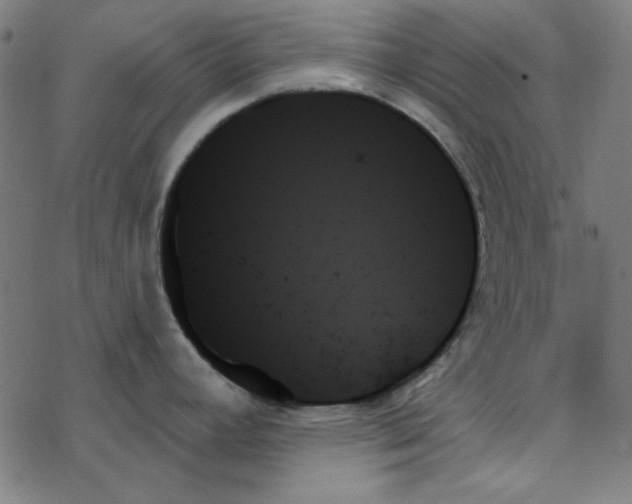 X0000078271392200612011708