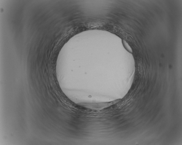 X0000078271393200612011707