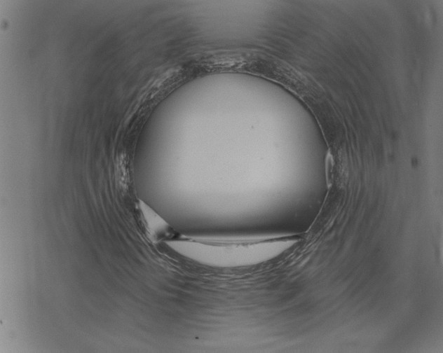 X0000078271394200612011707