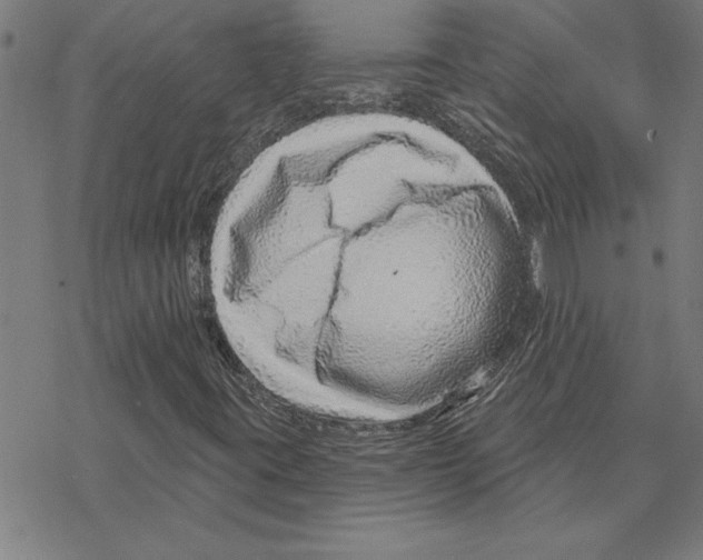 X0000078271395200612011707