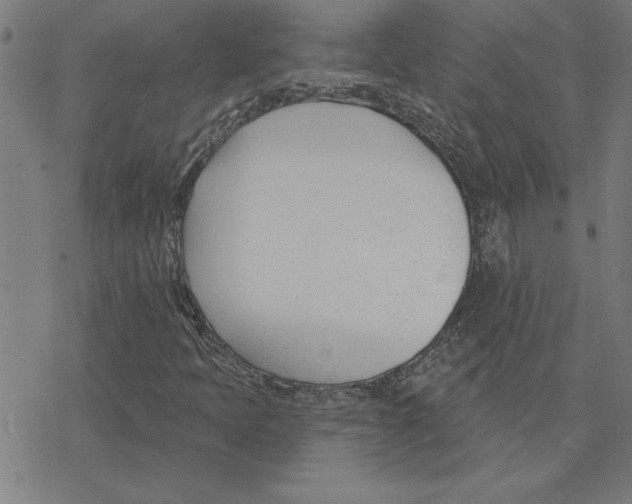 X0000078271397200612011708