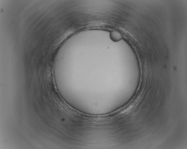 X0000078271401200612011708