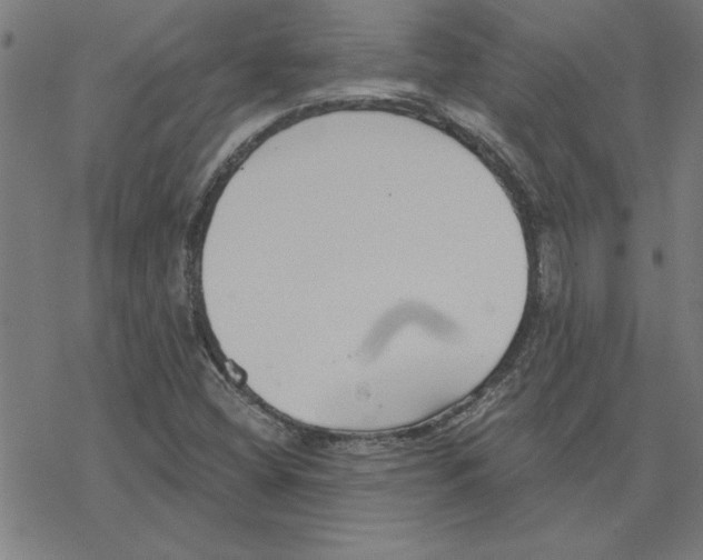 X0000078271404200612011708