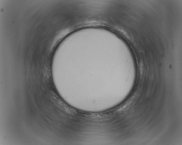 X0000078271405200612011708