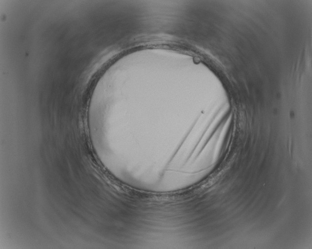 X0000078271407200612011708