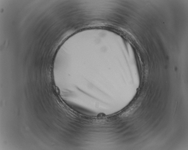 X0000078271409200612011708