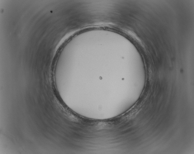 X0000078271412200612011708