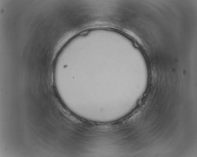 X0000078271413200612011708