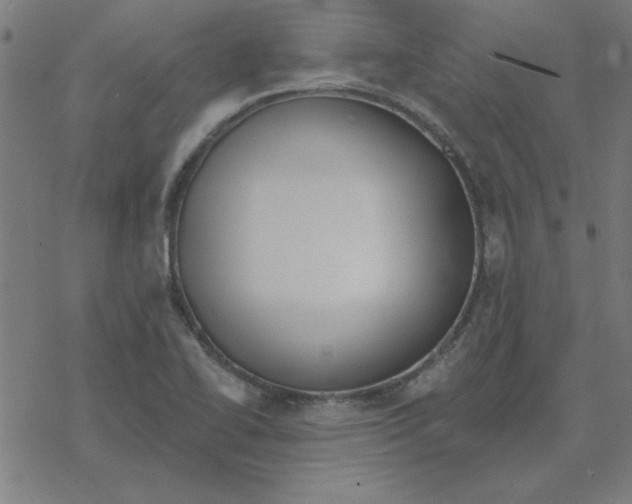 X0000078271414200612011708