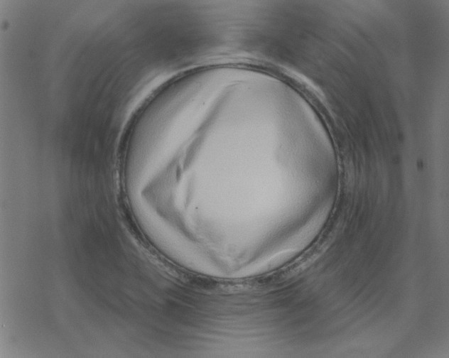 X0000078271415200612011708