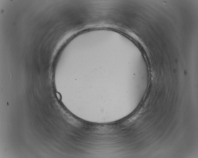 X0000078271416200612011708