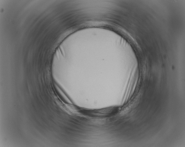 X0000078271417200612011708