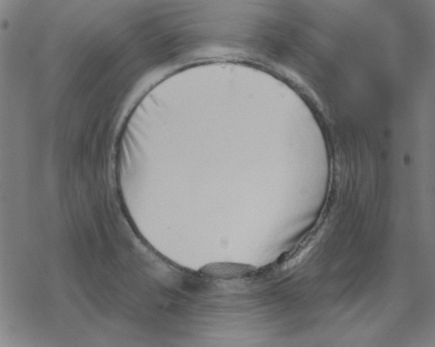 X0000078271421200612011708