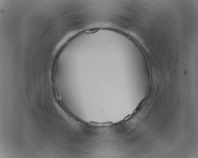 X0000078271422200612011708