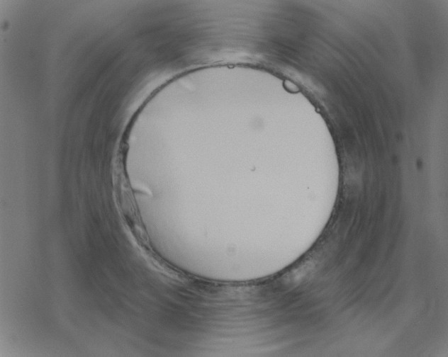 X0000078271423200612011708