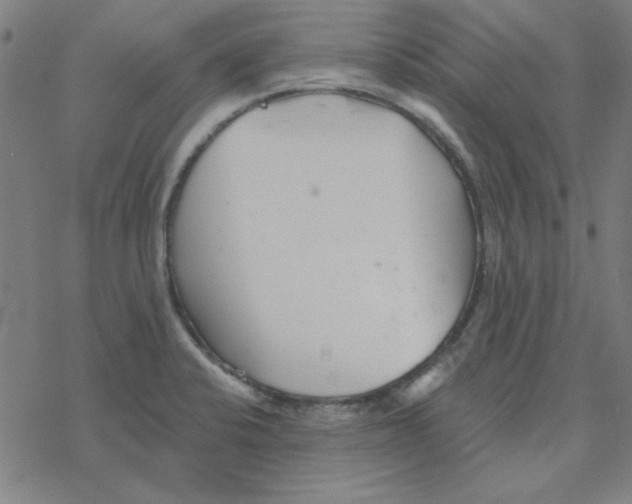 X0000078271424200612011708