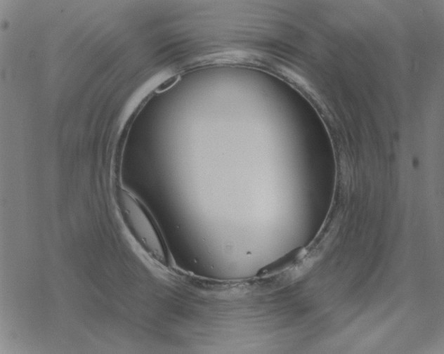 X0000078271426200612011708