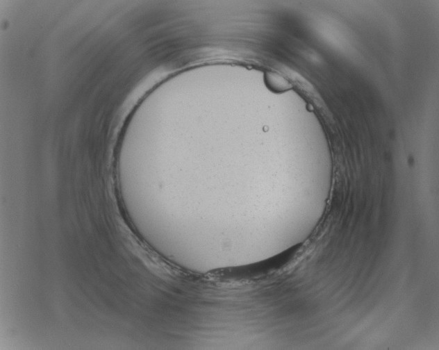 X0000078271427200612011708