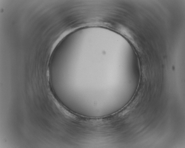 X0000078271428200612011708