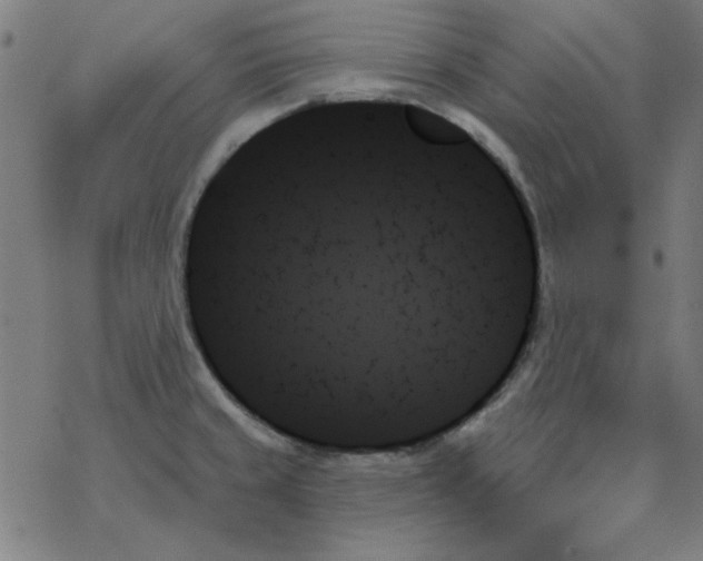 X0000078271429200612011708