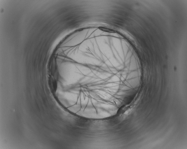 X0000078271430200612011708