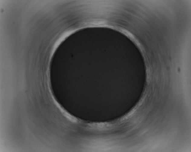 X0000078271432200612011708