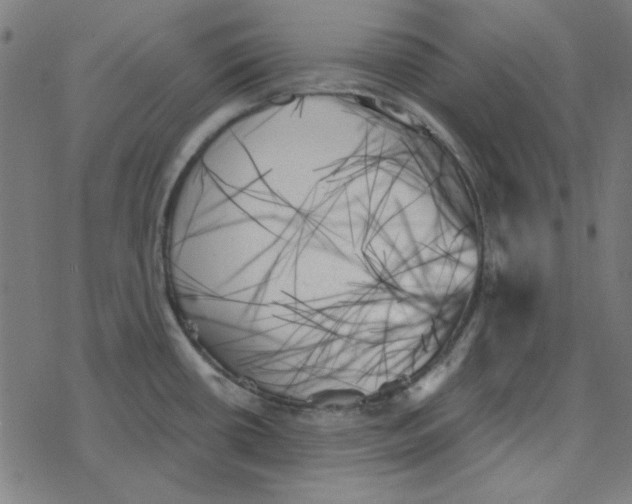 X0000078271434200612011708