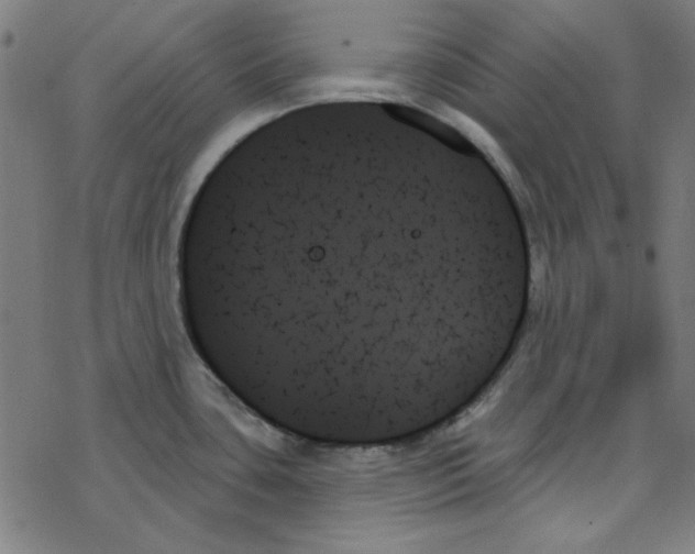 X0000078271435200612011708