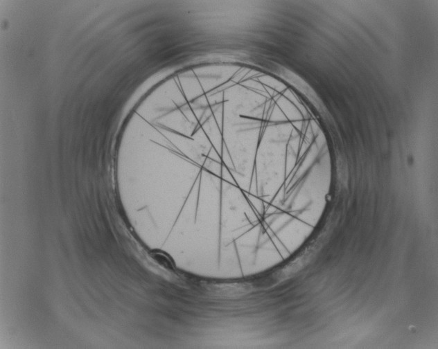 X0000078271436200612011708