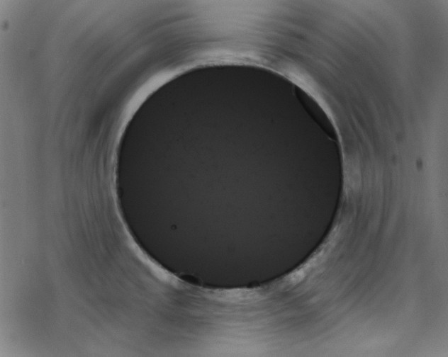 X0000078271437200612011708