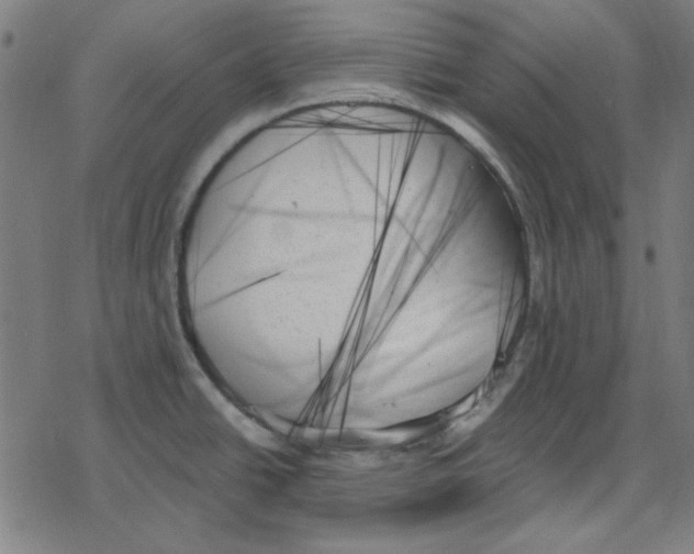 X0000078271438200612011708