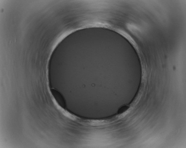 X0000078271439200612011708