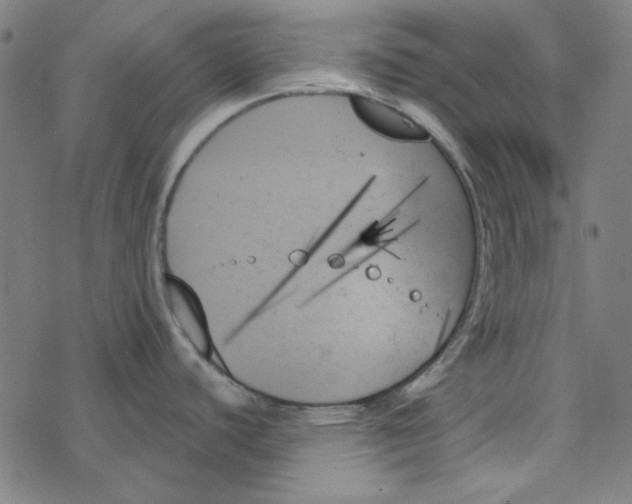 X0000078271440200612011708